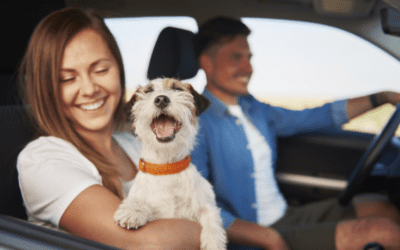 6 Tips for Pet-Proofing Your Car and Keeping Your Pet Safe